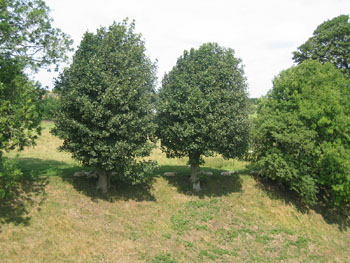 Europe 0283
