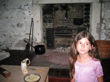 20077