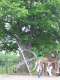 greatbritain_20050602_0983_r1