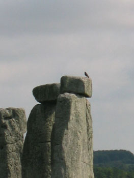 Europe 0266