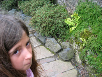 20083